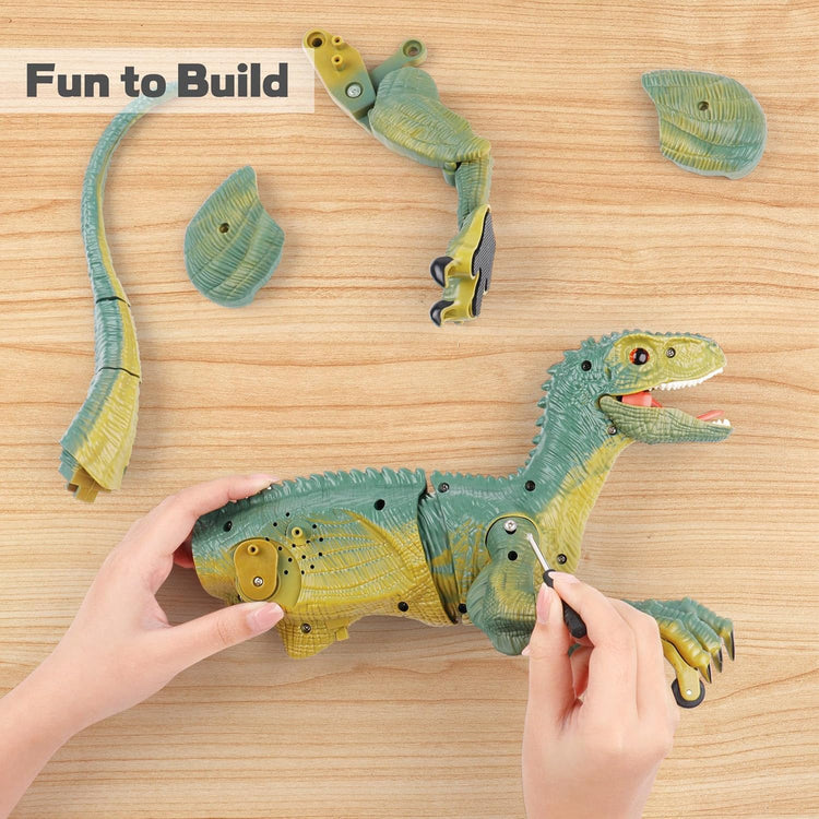 Remote Control Velociraptor Building Toy with Lights & Sounds for Kids