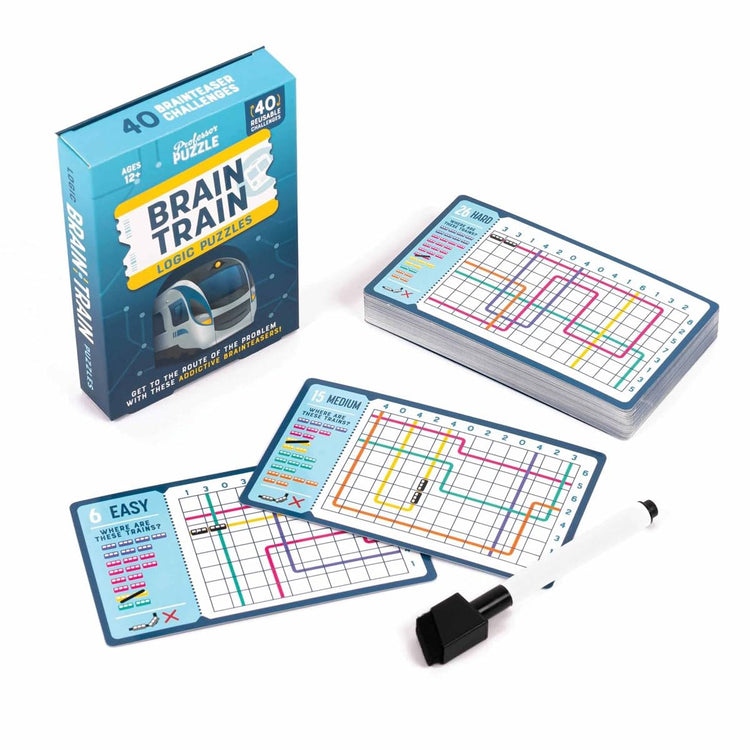 Brain Train Logic Puzzles - 40 Reusable STEM Cards