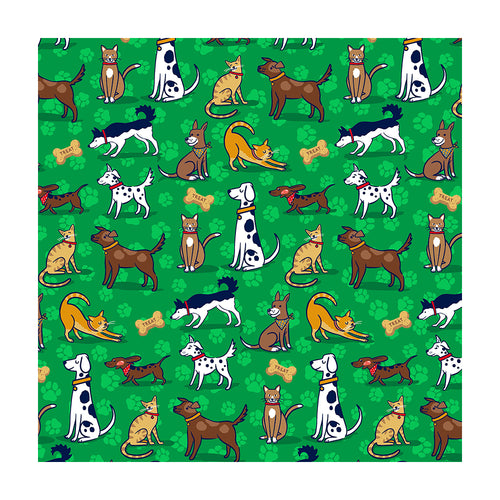 Cats & Dogs