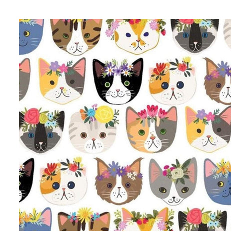 Kitty Kats