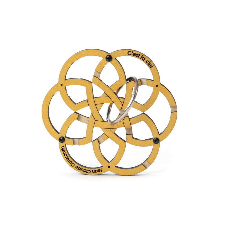 Constantin C'est La Vie - Guide the Ring Through the Maze