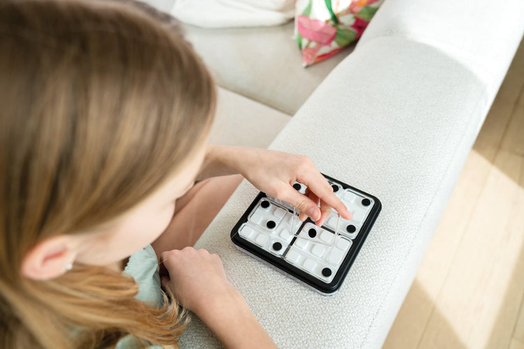 SmartGames Dice Deduction - Match Dice Sums in 60 Puzzles