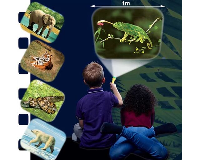 Animal Flashlight & Projector - 24 Amazing Images