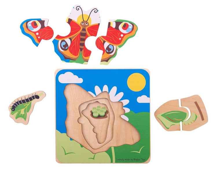 Butterfly Lifecycle - Wooden Puzzle