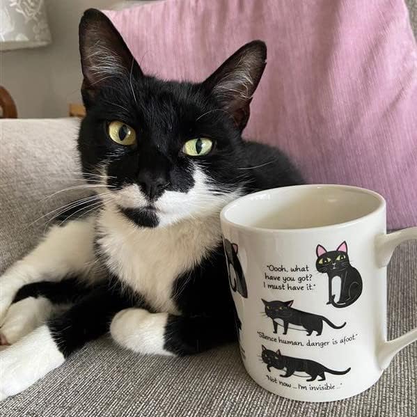 Cattitude Mug - Decode Your Cat's Mood over Morning Coffee