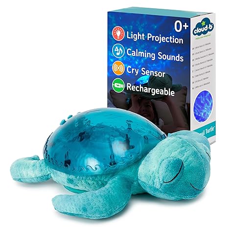 Cloud b Tranquil Turtle Aqua