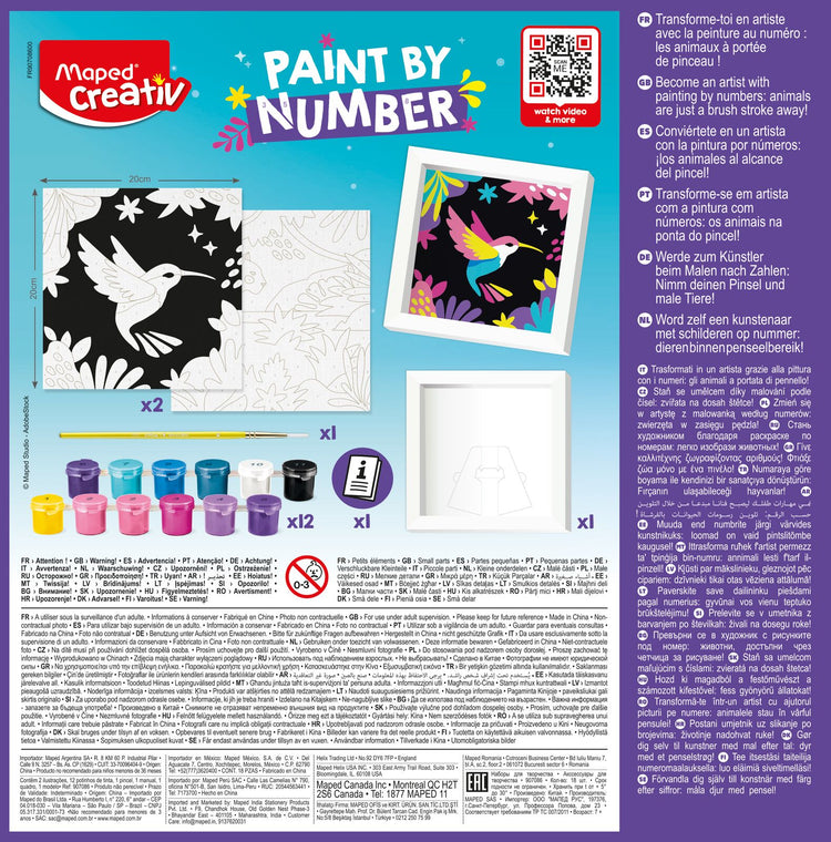 Maped Creativ Paint by Numbers Kit - Cat & Bird Framed Art