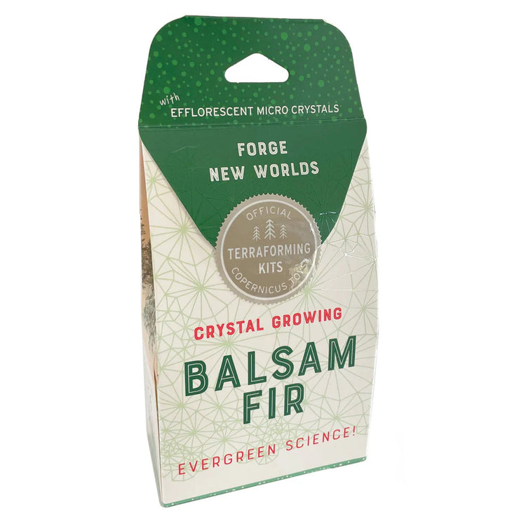 Copernicus Crystal Growing Balsam Fir - Grow a Tree