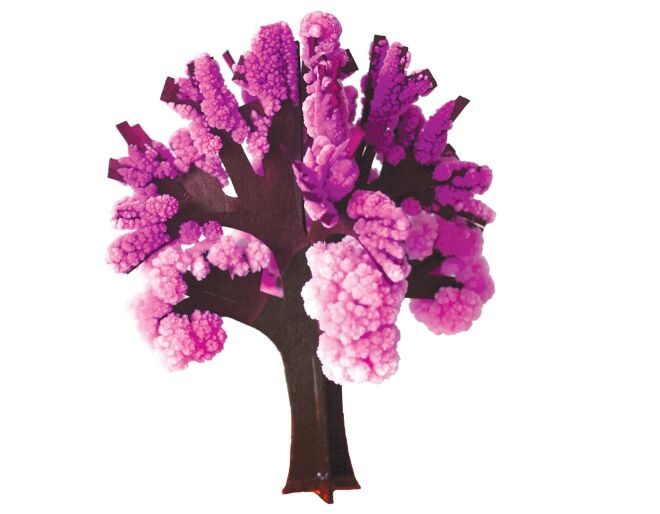 Crystal Growing Cherry Tree - Grow Your Own!
