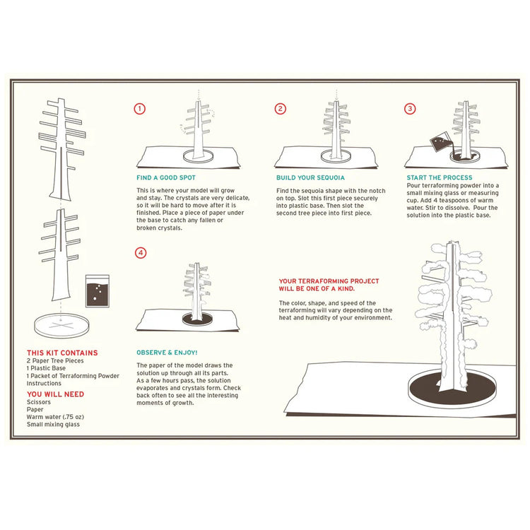 Copernicus Crystal Growing Giant Sequoia - Grow a Tree