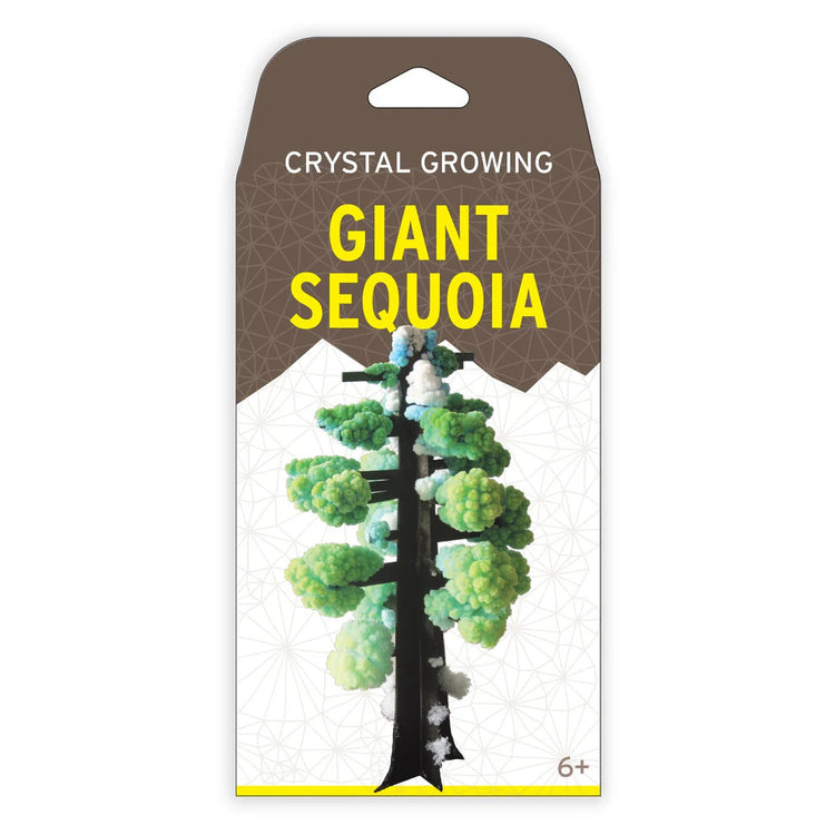 Copernicus Crystal Growing Giant Sequoia - Grow a Tree
