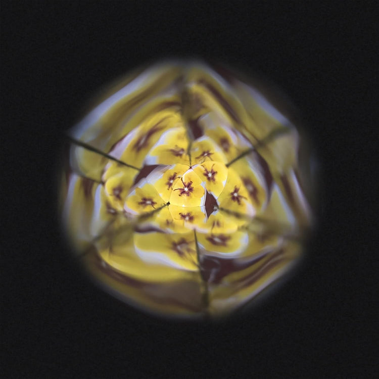 Janod Flower Kaleidoscope - Wooden Nature Pattern Maker