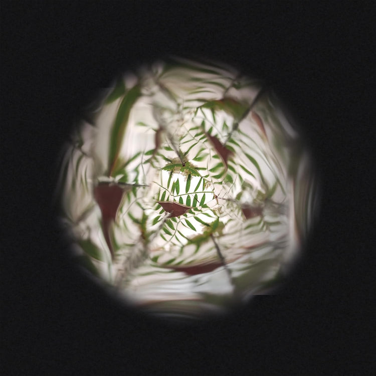 Janod Flower Kaleidoscope - Wooden Nature Pattern Maker