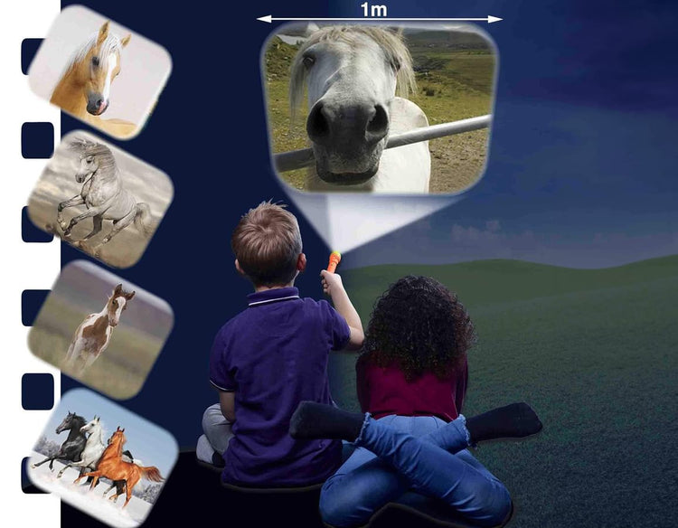 Horse Flashlight & Projector - 24 Images