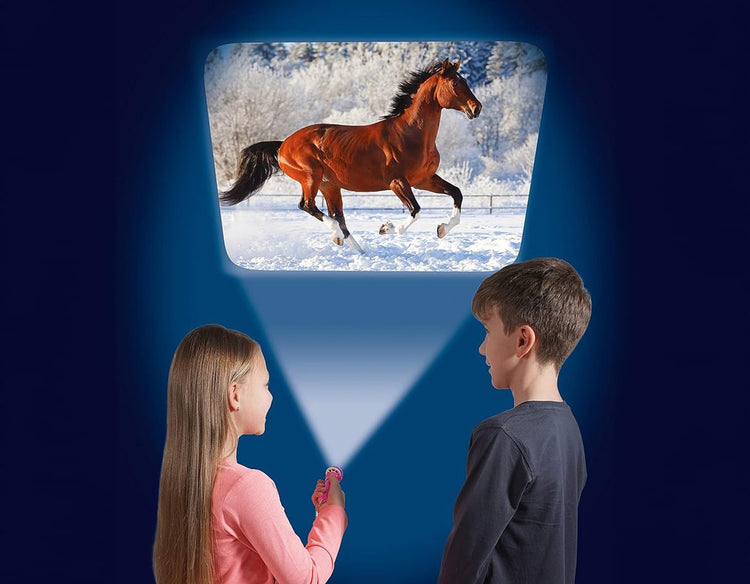 Horse Flashlight & Projector - 24 Images