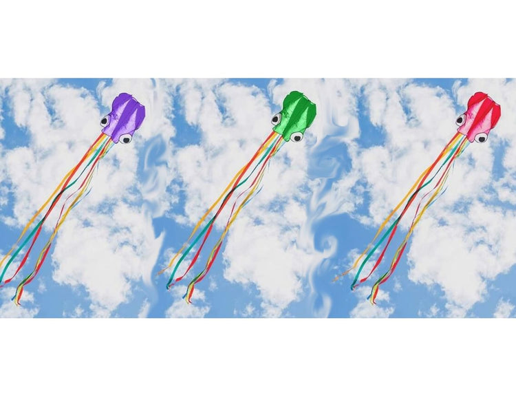 Jumbo Octopus Kite - 4 Yards Long