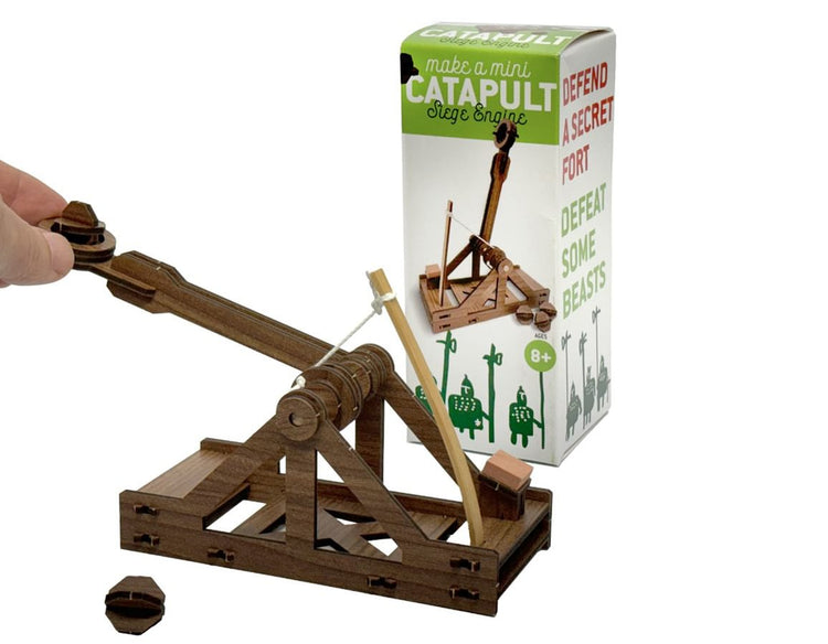 Make A Mini Catapult - DIY Catapult for Kids