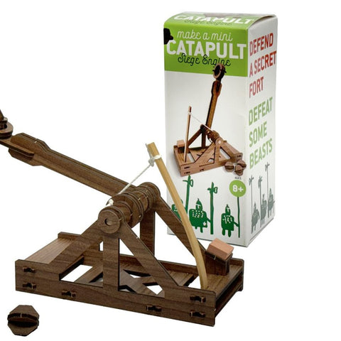 Make A Mini Catapult - DIY Model Kit