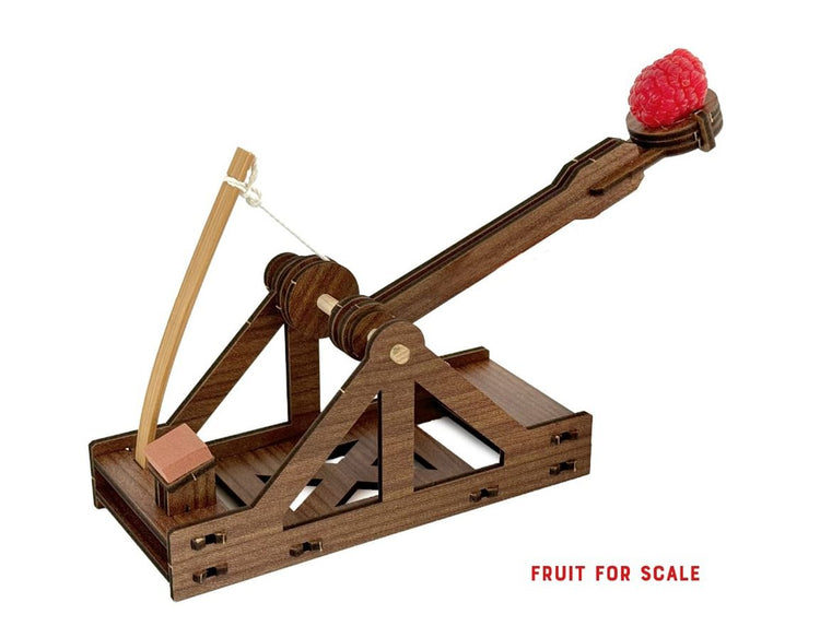 Make A Mini Catapult - DIY Catapult for Kids