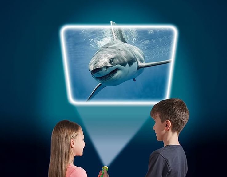 Sealife Flashlight & Projector - 24 Amazing Images