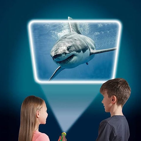 Sealife Flashlight & Projector - 24 Amazing Images
