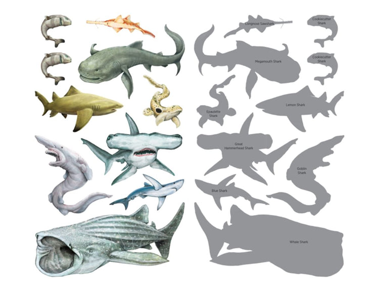 Sharks Tattoos - 50 Temporary Tattoos