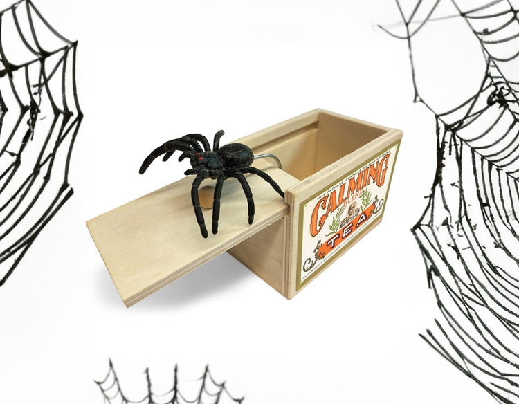 Spider Surprise - Practical Joke