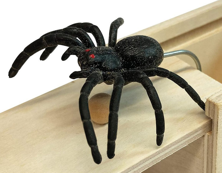 Spider Surprise - Practical Joke