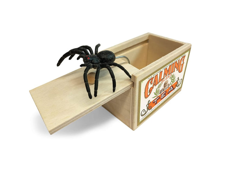 Spider Surprise - Practical Joke