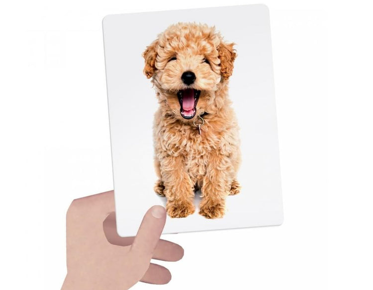 Tactile Flashcards - Montessori Learning