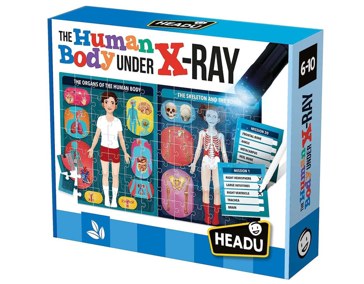 The Human Body - Under X-Ray