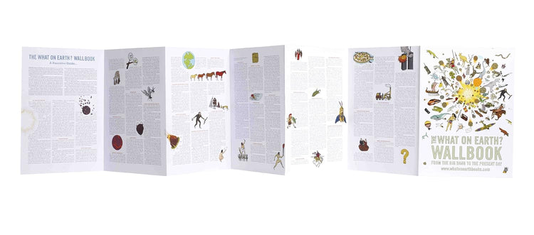 The What on Earth? Wallbook of Big History