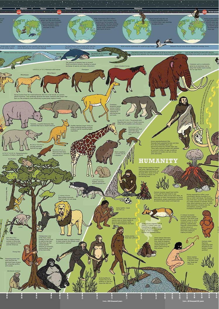 The What on Earth? Wallbook of Big History