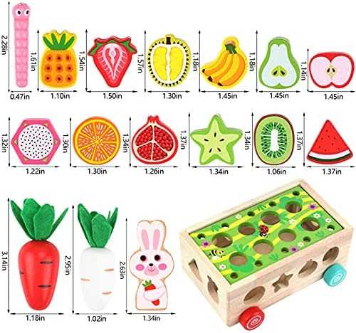 Montessori Wooden Shape Sorter & Fine Motor Toy