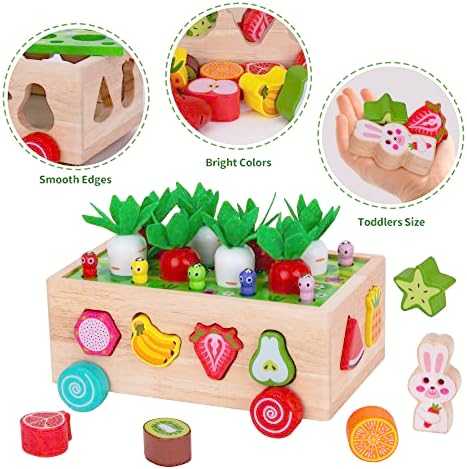 Montessori Wooden Shape Sorter & Fine Motor Toy
