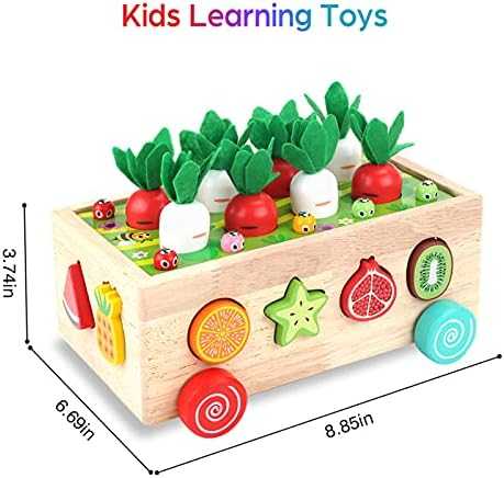 Montessori Wooden Shape Sorter & Fine Motor Toy