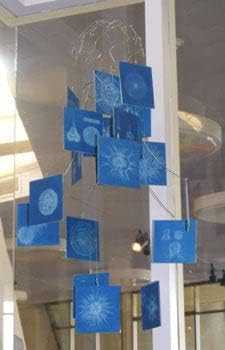 Sunprint Kit 4" X 4" - Make Sun-Powered Art Prints