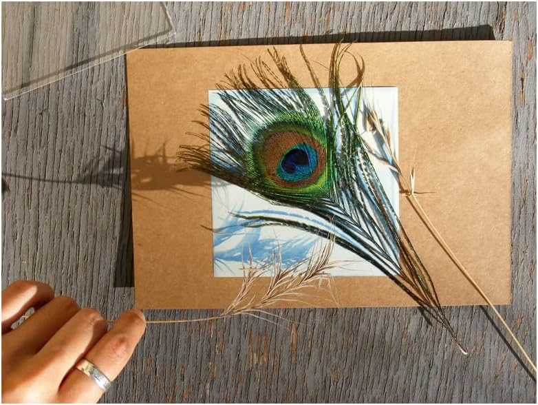 Sunprint Kit 4" X 4" - Make Sun-Powered Art Prints