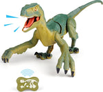 Remote Control Velociraptor Building Toy with Lights & Sounds for Kids
