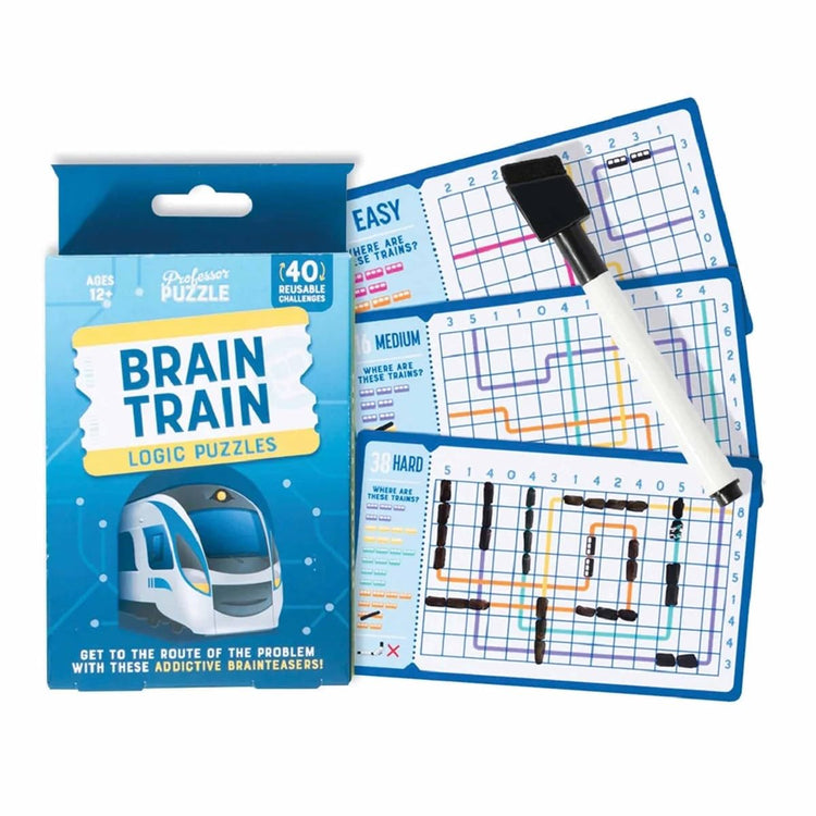 Brain Train Logic Puzzles - 40 Reusable STEM Cards