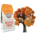 Copernicus Crystal Growing Maple - Grows in Hours