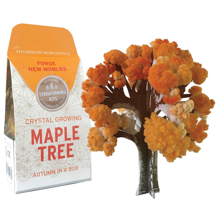 Copernicus Crystal Growing Maple - Grows in Hours