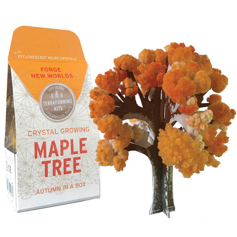 Copernicus Crystal Growing Maple - Grows in Hours