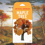 Copernicus Crystal Growing Maple - Grows in Hours