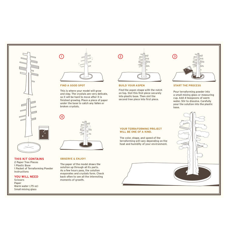 Copernicus Crystal Growing Aspen Tree - Grows in Hours