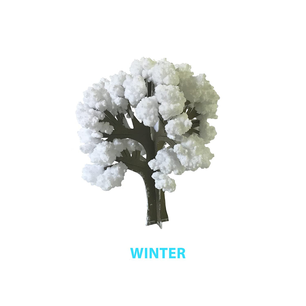 Copernicus Crystal Growing Seasons Kit - Grow All 4 Seasons
