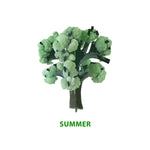 Copernicus Crystal Growing Seasons Kit - Grow All 4 Seasons