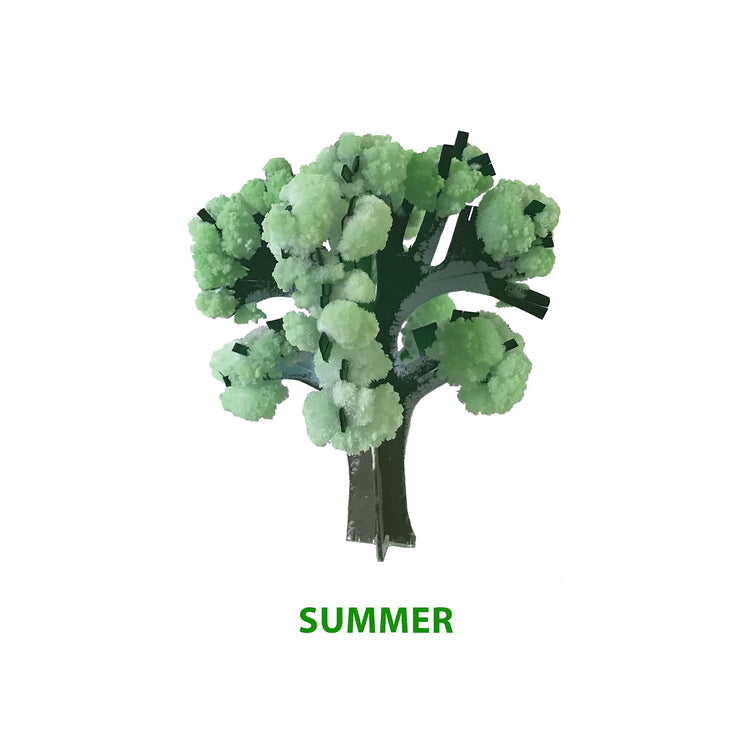 Copernicus Crystal Growing Seasons Kit - Grow All 4 Seasons