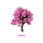 Copernicus Crystal Growing Seasons Kit - Grow All 4 Seasons