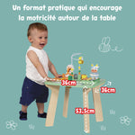Janod Pretty Meadow Activity Table - 7 Fun Wooden Games